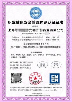 广州正规ISO45001职业健康安全管理体系品牌 贸易