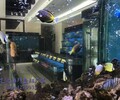 深圳海鮮玻璃魚缸結構圖 兩層海鮮魚池 海鮮池制冷系統