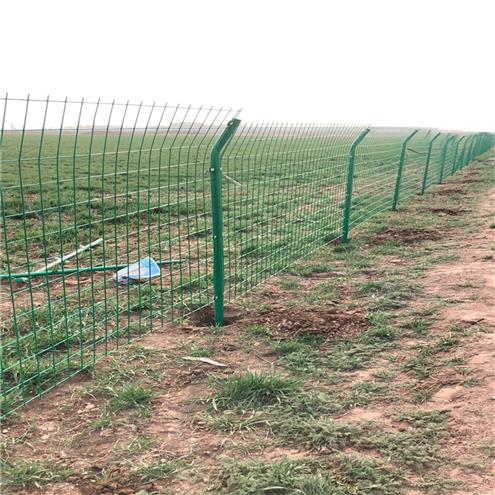 双边丝护栏网生产厂家 双圈护栏网 高质量护栏网定制厂家