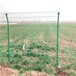 双边丝简易护栏圈地护栏网大量