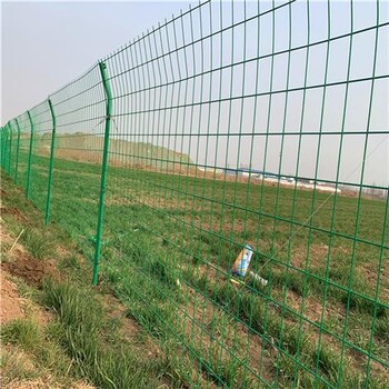 绿色双边丝护栏网圈地护栏网就找涨源厂家