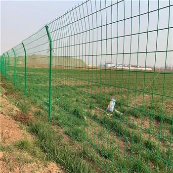 折弯双边丝护栏网养殖围栏网大量现货