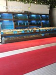 東莞石碣海鮮魚缸尺寸 飯店海鮮池圖片0