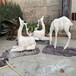 名圖玻璃鋼雕塑動物雕塑廠家,湛江玻璃鋼動物雕塑規格齊全