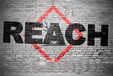 REACH检测SVHC物质清单REACH211项检测,2020年reach检测项目清单