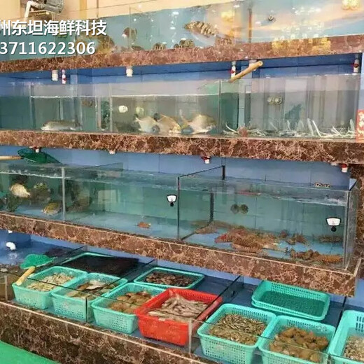 广州白云玻璃海鲜池怎么清洗消毒 海鲜鱼缸 欢迎致电