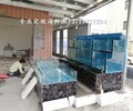 广州龙口玻璃海鲜池电话 海鲜鱼池 欢迎来电垂询