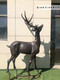 靠譜鹿雕塑動物鹿雕塑廠家規格圖