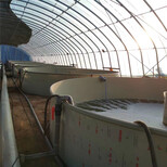 订制水产养殖尾水处理设备质量可靠图片3