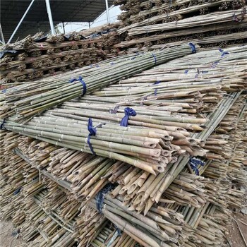 自產(chǎn)自銷菜架條批發(fā) 江西菜架條廠家 黃瓜搭架西紅柿架 山藥葛根