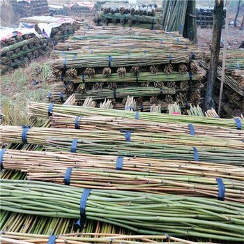 西红柿搭架竹竿 竹条 2米-4米菜架竿 架条 江西竹竿厂家自产自销