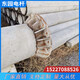 忻州21米电线杆水泥电杆电线杆生产厂家展示图