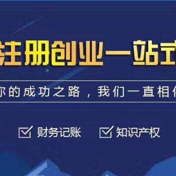 代理记账公司 0申报 一般纳税人 代账一对一服务