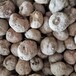 当年种魔芋当年收种子价技术亩产汉中魔芋种子批发