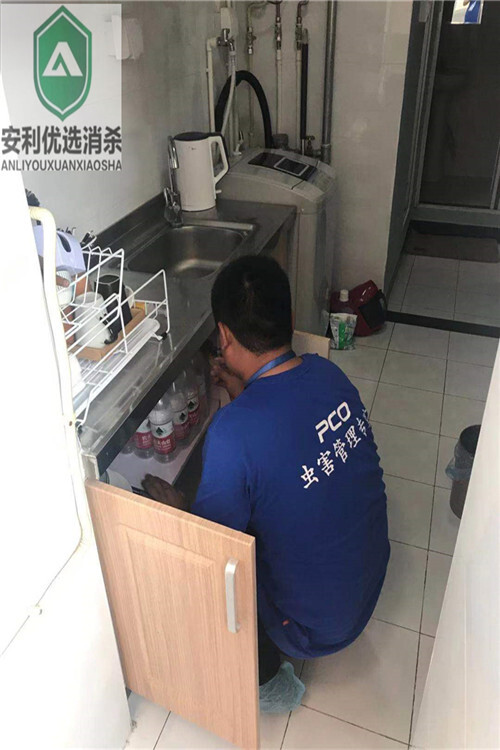 西单什么能杀虫