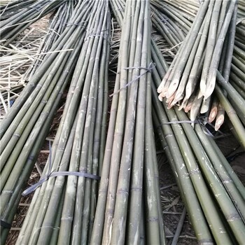大量批发菜园搭架竹竿菜架竹绿化支撑竹杆园林工程竹杆