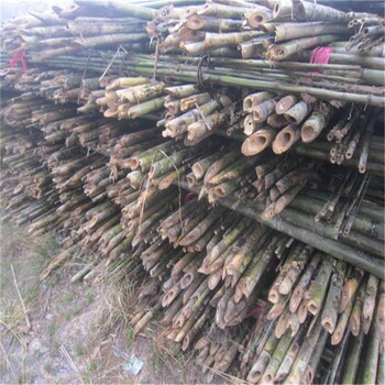 供应各种规格的江西竹杆农用园林用小竹杆
