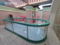 伊貝莎鋼化玻璃兒童泳池,進口嬰兒游泳池圖片4