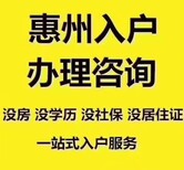 大亚湾入户口汇家惠州户口人才入户条件咨询电话,惠州人才入户图片1