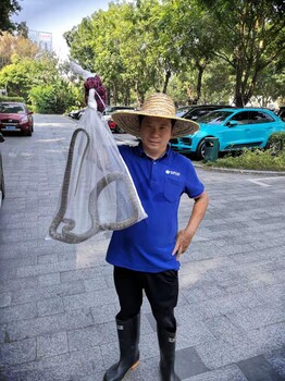 兴宁市专业捕蛇服务多少钱
