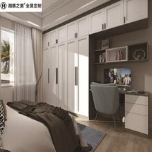 株洲炎陵县定制家具_全屋定制_兔宝宝衣柜_品牌工厂_代理加盟图片