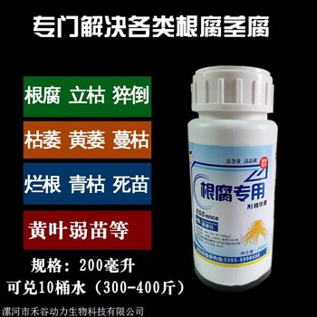 漯康壯根腐病藥蔬菜花卉藥材死苗爛根漚根立枯病防治灌根藥