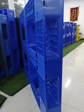  Dehong brand new Tagline plastic pallet factory direct sales, Tagline plastic pallet pictures