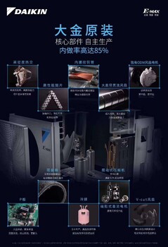 西安大金來(lái)電在啟動(dòng)柜機(jī)總代