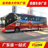 深圳旅游大巴车广告/接送租车广告巡游图片0