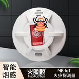 火脱脱NB-IoT智能烟感报警器,NB-IOT火灾探测器图片4