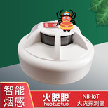 NB-IoT民用烟雾报警器价格,NB-IoT无线火灾报警器图片5