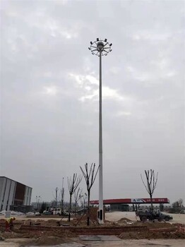 仙桃龙华山街道LED路灯9米10米厂家报价,8米7米LED路灯批发价