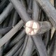 珠海香洲废旧铜线回收多少钱一斤图