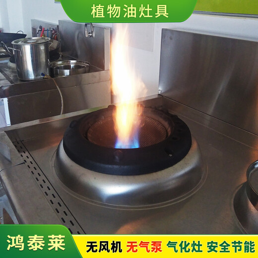 天津植物油招商新能源无醇燃料火力猛,新能源植物油燃料