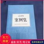 软件设计画册公司文化宣传手册定制铜版纸印刷厂家