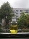 北京植物油配方图