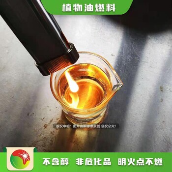 重庆永川小投资项目80号植物油燃料代理商报价,节能安全民用油