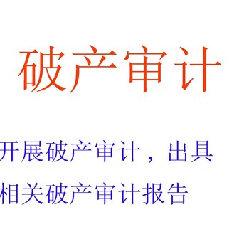 破产审计报告，破产清算审计，公司破产审计费用，破产审计方案