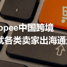 做虾皮shopee跨境电商不小心日入5万