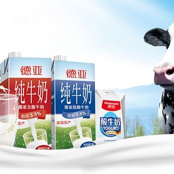 郑州进口牛奶报关报关代理公司