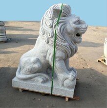 常州大理石石頭獅子-石雕獅子規格齊全,獅子雕塑圖片