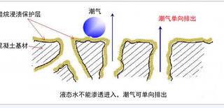 浙江硅烷跑道维修材料,硅烷浸渍剂图片1