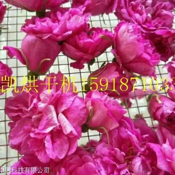 玫瑰花烘干机玫瑰花烘干机价格