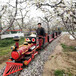 百美復古蒸汽小火車,江蘇徐州生態園軌道小火車為游客帶來歡笑
