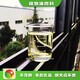 无醇燃料植物油燃料图