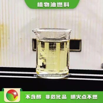廣東東莞高清潔燃料新型能源燃料企業(yè)參數(shù),水性燃料廚房燃料