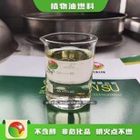 天津植物油燃料本性厨房植物油燃料技术配方介绍,新能源植物油燃料图片3