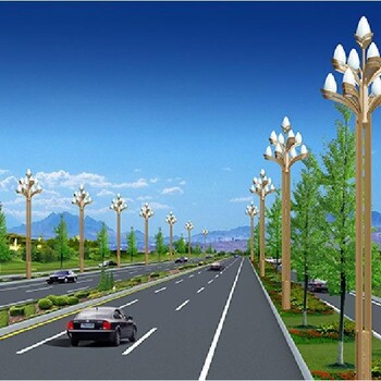 武汉新洲玉兰灯6米12米厂家报价便宜,广场景观灯生产厂家