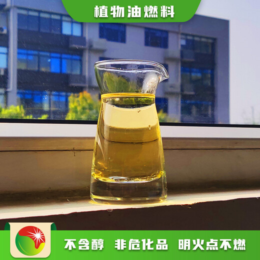 天津超能燃料厨房植物油燃料优点和缺点,新能源烧火朗植物油燃料