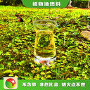 陜西西安獨家銷(xiāo)售植物油高熱值植物油燃料制作方法,高熱值燃料